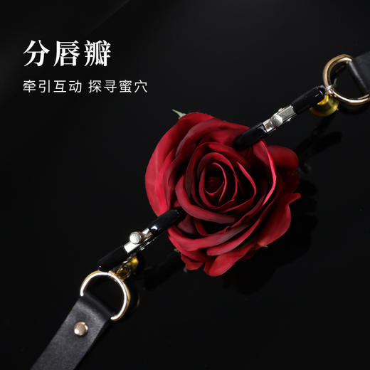 【谜姬】 SM夹阴绑带乳夹+绑带情趣用品阴蒂刺激成人性玩具施虐 商品图2