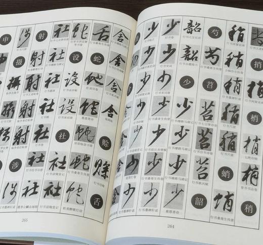 中国行草书鉴定字典大系：
 
《王羲之·王献之行草书字典》
《唐名家行草书字典》
《宋四家行草书字典》
《鲜于枢·赵孟頫行草书字典》
《祝允明·陈淳行 商品图8