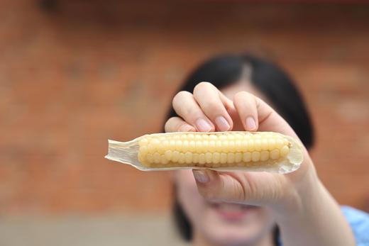 云南古法原种【绿野珍珠拇指玉米】，非转基因，甜糯细腻，清香四溢！！   基地直邮 商品图0