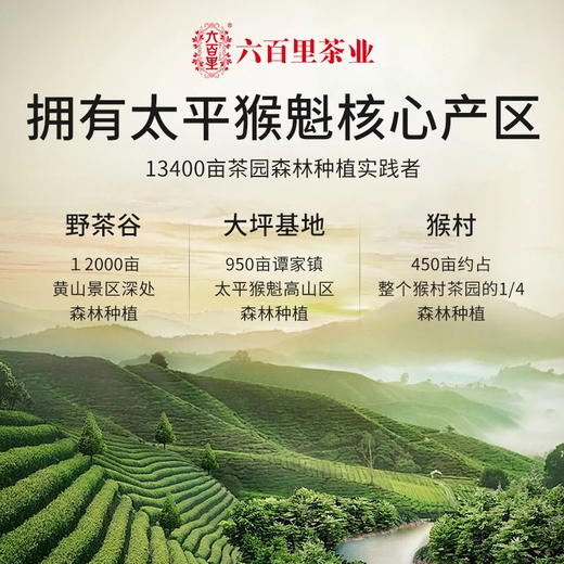 六百里茶叶 太平猴魁 幽扬一级 50g*4罐组合装 茶汤明亮 幽兰气韵 48小时发货 商品图1