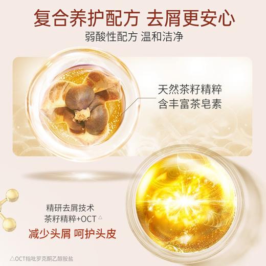 【品牌直发】滋源无硅油 茶籽控油去屑洗头水套装 商品图3