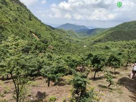 【小科普】每天早晨跑多少公里才是最好的呢？