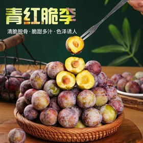 特价！五月脆李！新鲜李子4.5斤装