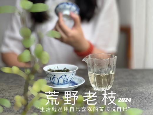 【2024春茶来了】2024荒野老枝，一款极其稀缺的特制荒野茶，今年披着白牡丹的外衣，品相有史以来zui高！ 商品图12
