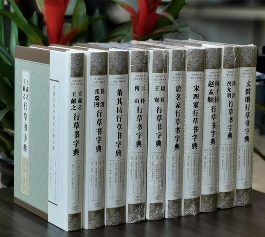 中国行草书鉴定字典大系：
 
《王羲之·王献之行草书字典》
《唐名家行草书字典》
《宋四家行草书字典》
《鲜于枢·赵孟頫行草书字典》
《祝允明·陈淳行 商品图2