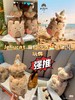 梦中情堡jellycat 城堡玩偶 商品缩略图0