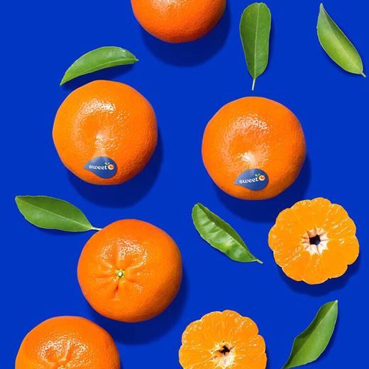 南非小蜜桔 约1kg/份 商品图2