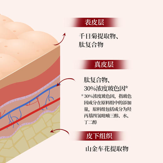 【上新】抗皱精华葆春霜   50克（限时加赠同款体验装*1） 商品图4