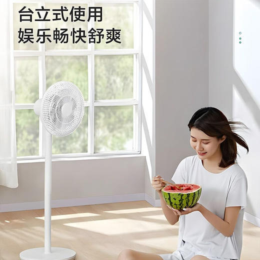 艾美特（AIRMATE）电风扇Mini落地扇LPF06 商品图2