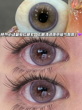 garden 花园葡萄紫「含硅水凝胶」年抛型