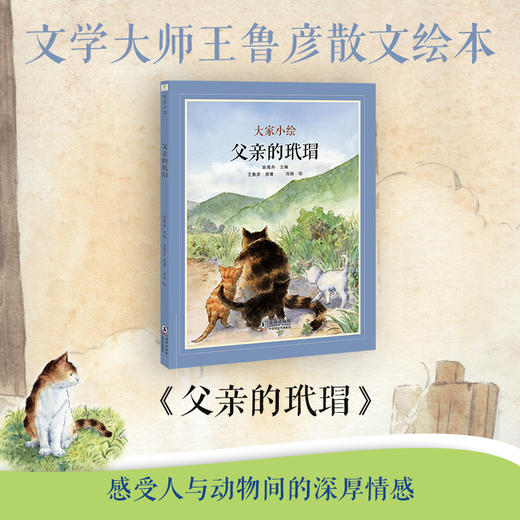 大家小绘系列：父亲的玳瑁 商品图1