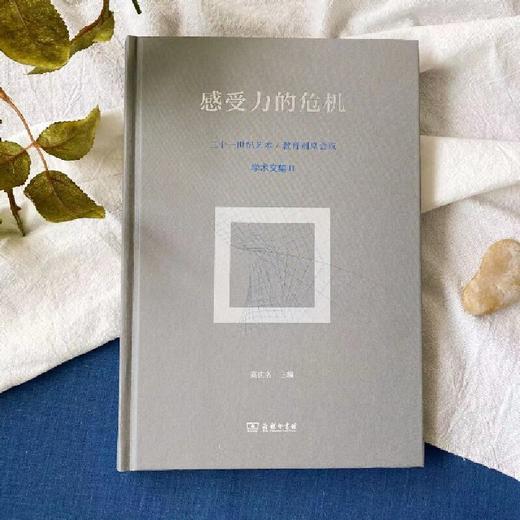 感受力的危机：二十一世纪艺术教育圆桌会议学术文集II 商品图1