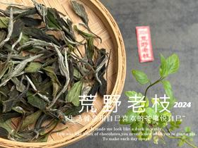 【2024春茶来了】2024荒野老枝，一款极其稀缺的特制荒野茶，今年披着白牡丹的外衣，品相有史以来zui高！