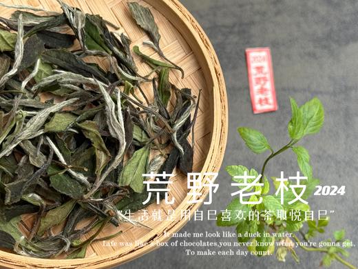 【2024春茶来了】2024荒野老枝，一款极其稀缺的特制荒野茶，今年披着白牡丹的外衣，品相有史以来zui高！ 商品图2