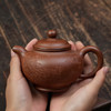 郭琴 掇只壶 宜兴紫砂原矿茶壶紫砂壶功夫茶泡茶壶茶具仿古 商品缩略图3