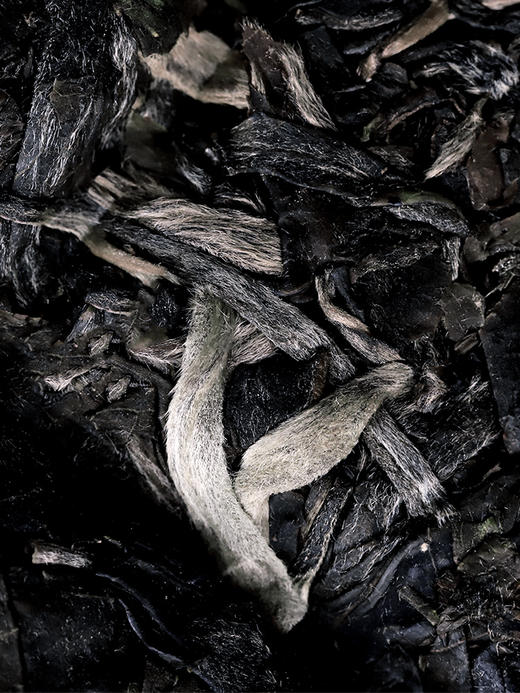 【冰岛地界】2024年冰岛地界600年古树纯料高端玩家追求之物普洱茶生茶357克茶饼，拍5发6 拍20发25 商品图3