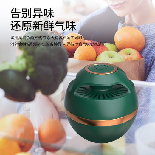 【净味保鲜！冰箱除味器】活氧除jun守卫健康，健康储鲜  消毒净味，为冰箱量身定制小巧美观，杀jun消毒空气臭氧净化器Y 商品图3