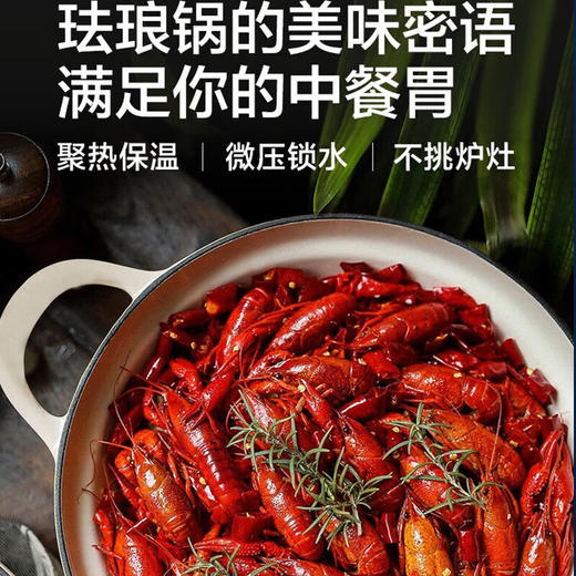 VELOSAN/温仑山 布尼卡星白珐琅锅 27cm 炖盅 炖锅 砂锅 汤锅 铸铁锅 海鲜煲汤锅 商品图2