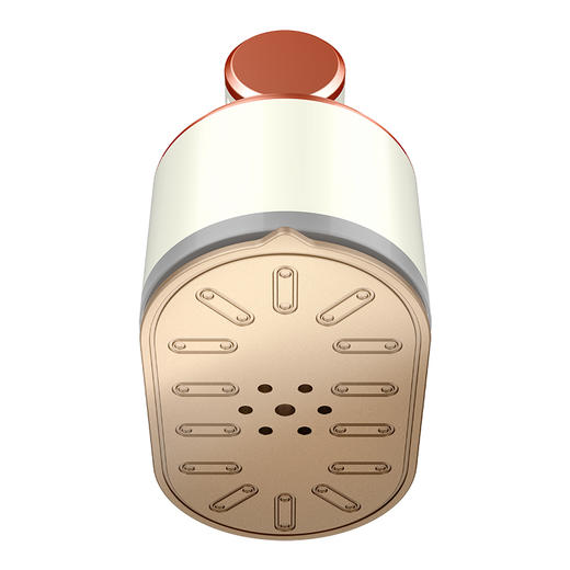 春花 手持蒸汽电熨斗CTQ-509Y 商品图4