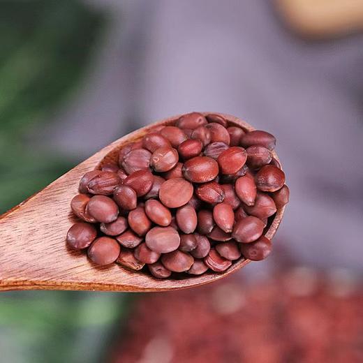 酸枣仁 500g 商品图3