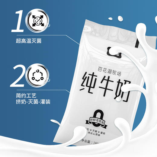 【分销专属】贵州特产山花百花湖牧场纯牛奶180ml*16袋口感新鲜常温储存贵州老字号 商品图2