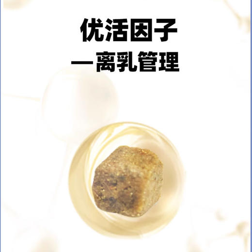伯纳天纯狗粮全犬种幼犬奶糕粮泰迪金毛主粮1.5kg颗粒奶糕粮 商品图3