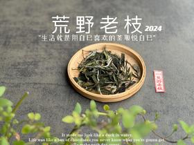 【2024春茶来了】2024荒野老枝，一款极其稀缺的特制荒野茶，今年披着白牡丹的外衣，品相有史以来zui高！