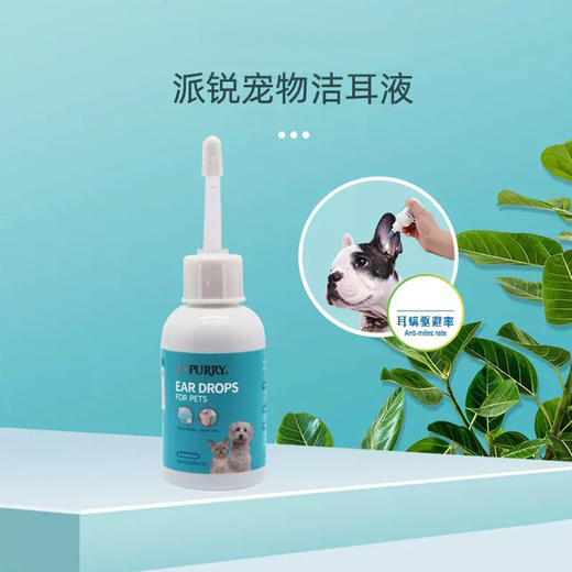 派锐宠物洁耳液猫用洗耳液狗狗滴耳液消臭驱耳螨除臭猫咪耳部清洁 商品图0