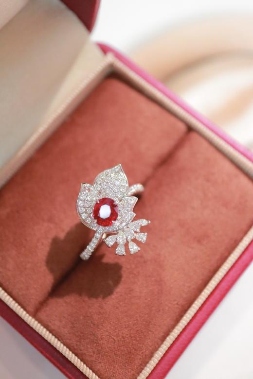 1.01ct 红宝石戒指 商品图5