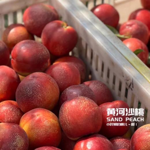 黄河沙桃 12头约5斤/箱 |水果 商品图1