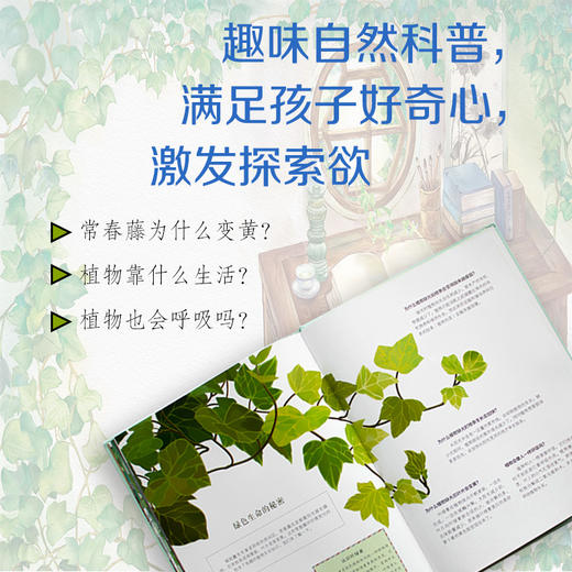 大家小绘系列：囚绿记 商品图3