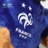 【官方正版】法国国家队 |球衣大熊玩偶欧洲杯款球员印号公仔姆巴佩 商品缩略图3