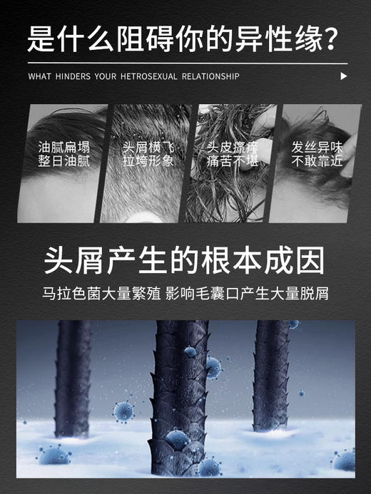 APKH控油去屑清爽洗发水 商品图4