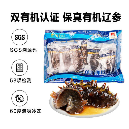 大连鑫玉龙有机单冻即食海参 8-10头/500g水产海鲜 商品图0