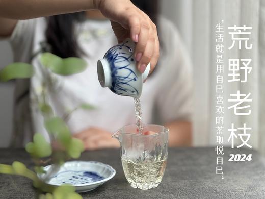【2024春茶来了】2024荒野老枝，一款极其稀缺的特制荒野茶，今年披着白牡丹的外衣，品相有史以来zui高！ 商品图11