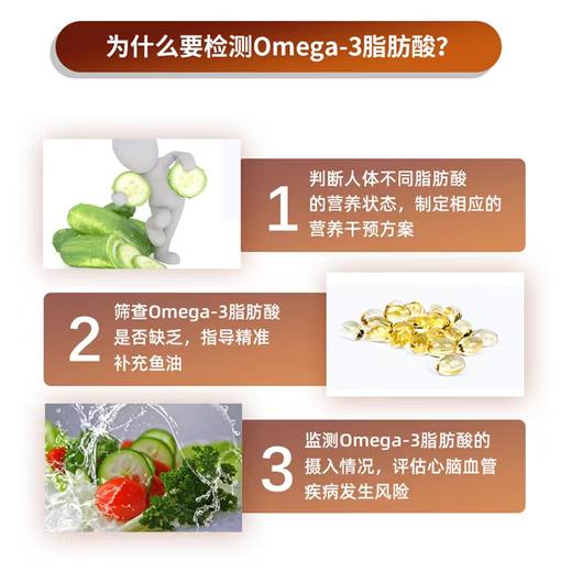 Omega脂肪酸检测 Omega3/6/7/9脂肪酸联合检测 商品图1