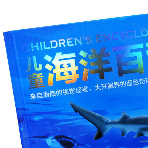 精装 儿童海洋百科全书海洋大百科的奥秘 探揭秘海底世界神秘 商品图3
