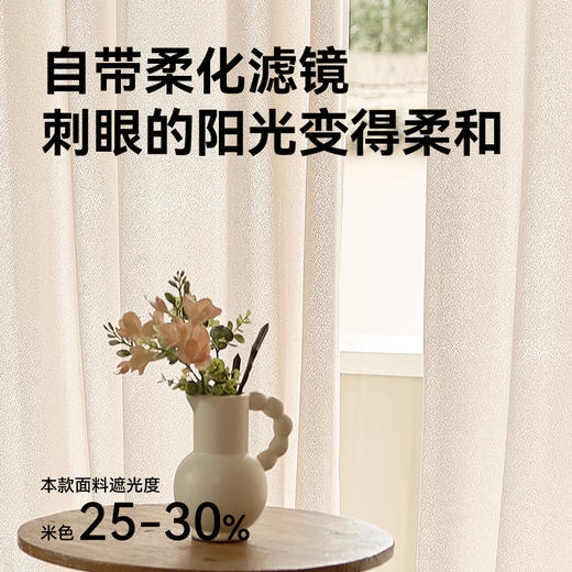 【鸟巢纱】 金蝉新款抗菌窗纱透光不透人纱帘 商品图3