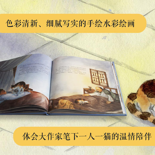 大家小绘系列：父亲的玳瑁 商品图3