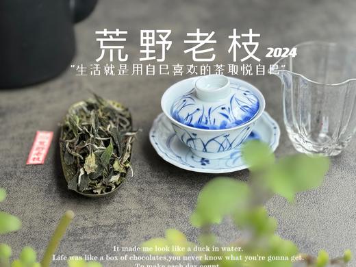 【2024春茶来了】2024荒野老枝，一款极其稀缺的特制荒野茶，今年披着白牡丹的外衣，品相有史以来zui高！ 商品图7