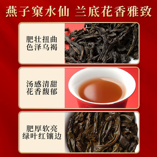 岩语 马踏飞燕礼盒装 特级马头岩肉桂燕子窠水仙组合装正宗茶叶送礼102g 商品图6