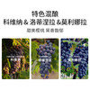 托马斯瓦尔普利切拉红葡萄酒 2023 意大利 Tommasi Valpolicella DOC 商品缩略图2