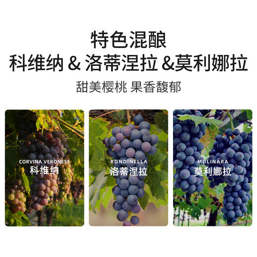 托马斯瓦尔普利切拉红葡萄酒 2023 意大利 Tommasi Valpolicella DOC 商品图2