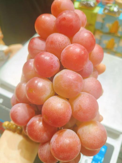 妮娜皇后 商品图0