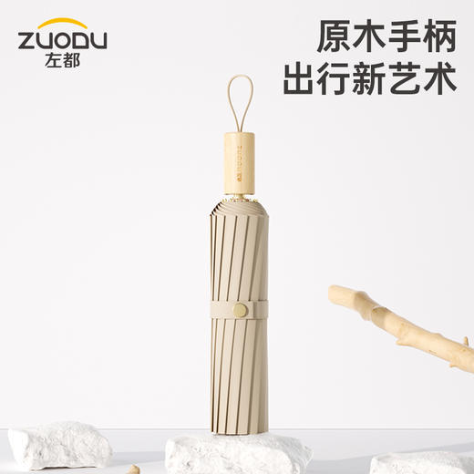 左都16骨太阳遮阳伞 商品图1