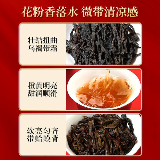 岩语 参赛茶礼盒装 特级大红袍水仙肉桂茶叶正宗武夷岩茶送礼60g 商品图3