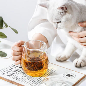 物生物（RELEA）玻璃杯男女士茶水分离杯耐高温办公泡茶杯带把高硼硅水杯花茶杯子 商品图4