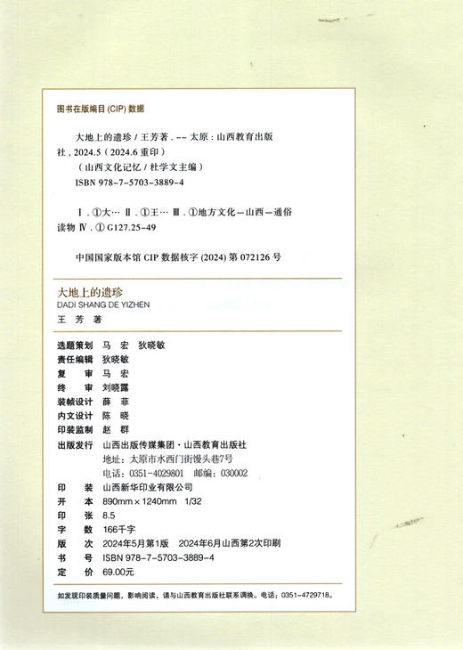 正版 山西文化记忆 大地上的遗珍 王芳著 山西教育出版社出版 商品图1