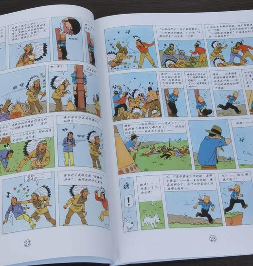 《丁丁历险记》，16开平装，彩绘本，比利时 埃尔热著，中国少年儿童出版社2021年版，印次不详，定价506，售价202元。品相95成 商品图6