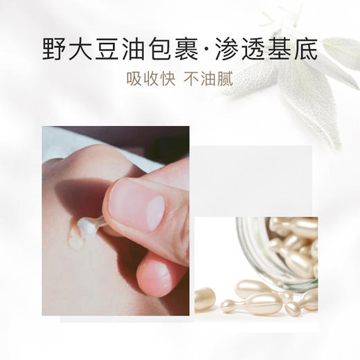视黄醇赋活精华液15粒 /多肽紧致精华液15粒 ECOOKING 丹麦依蔻庭 商品图7